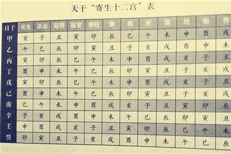 連四拉四意思 免費 八字 排盘